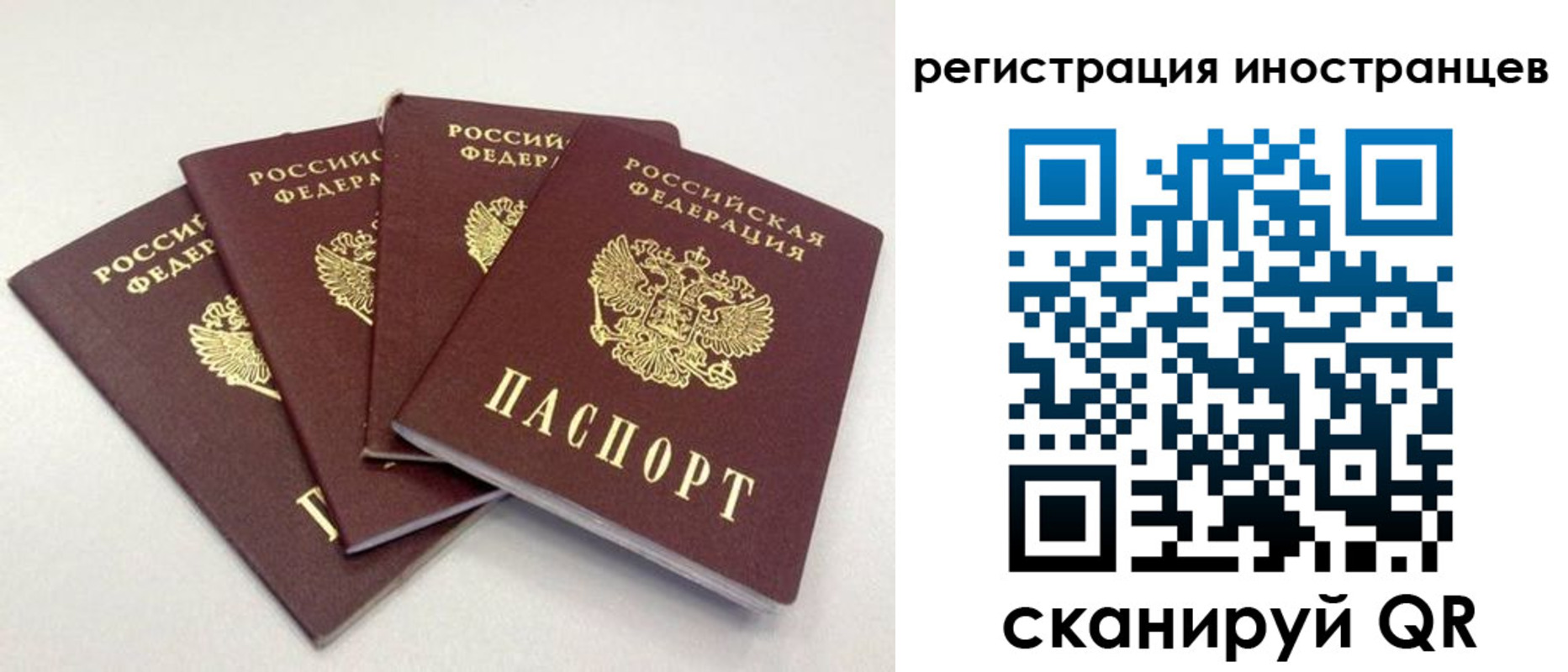 временная регистрация для школы в Родниках